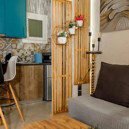 Gpx Clr-street Fashion * Larissa