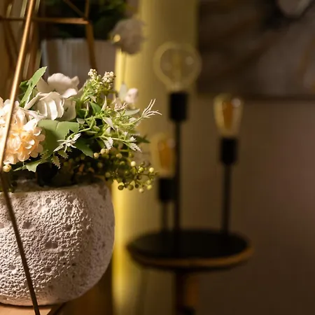 Gpx Clr-street Fashion