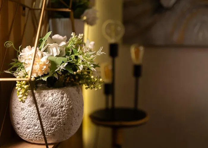 Gpx Clr-street Fashion